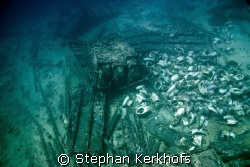 All what is left of the yolanda wreck on Yolanda reef Ras... by Stephan Kerkhofs 